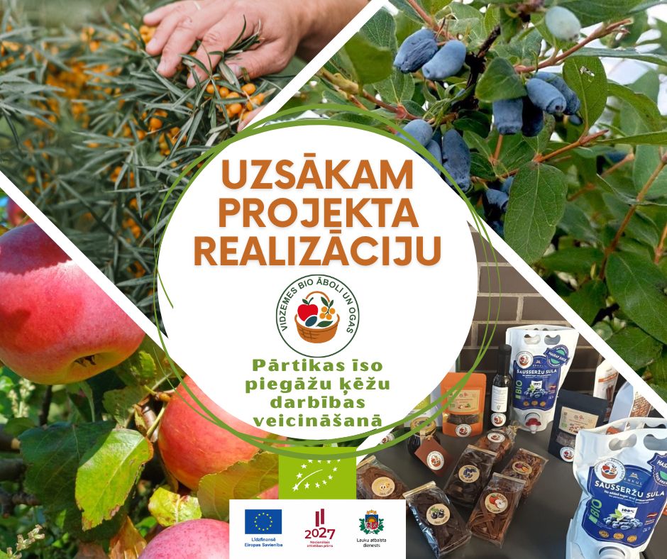 1_ma_projekta_realizacija.jpg