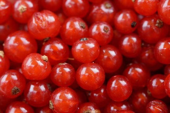Saldētas jāņogas BIO